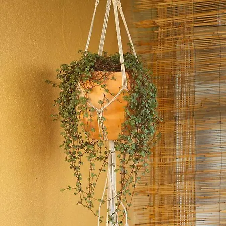 Prázdninový dům Casinhas De Medros Barcelos