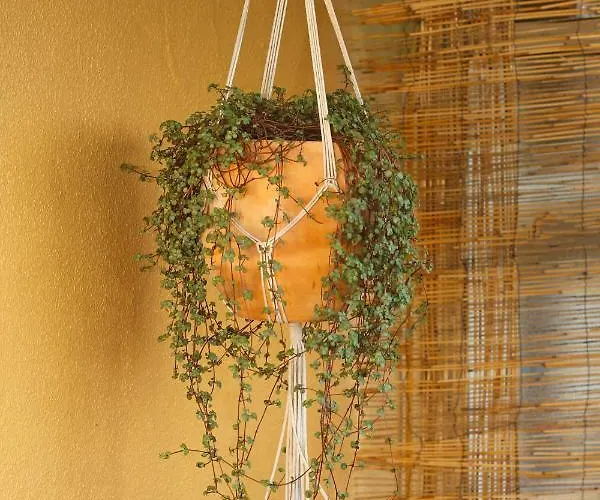 度假居 Casinhas De Medros 巴塞卢什